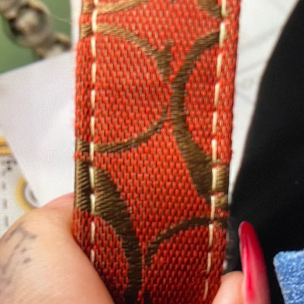 Coach belt